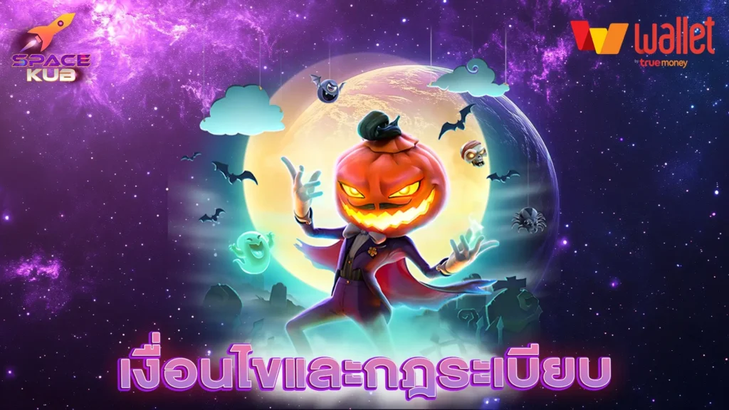 เงื่อนไขและกฎระเบียบ